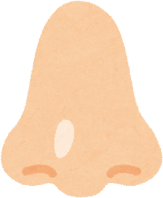 Simple Illustration of Human Nose